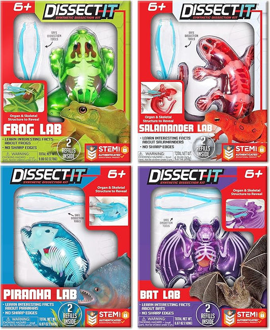 Dissect-It Kit for Kids, Synthetic Dissection Kids Science Kit to Learn Animal Science, Biology, STEM Toys for 6 Year Old and Above