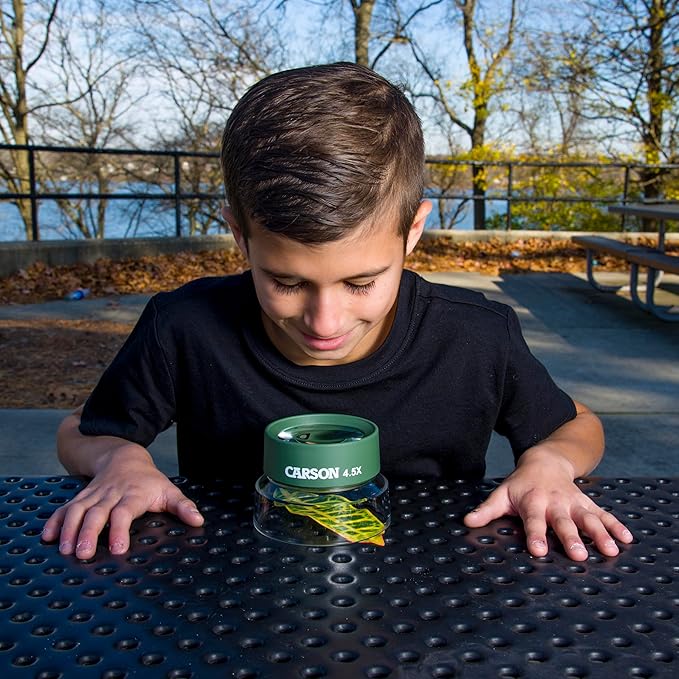 Carson Kids BugLoupe 4.5x Pre-Focused Stand Magnifier Loupe for Viewing Insects, Plants, Coins, Stamps, Maps, Fine Print and Wildlife (HU-55), Green, One Size