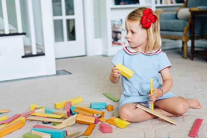 Tegu 14 Piece Magnetic Wooden Block Set in Tints
