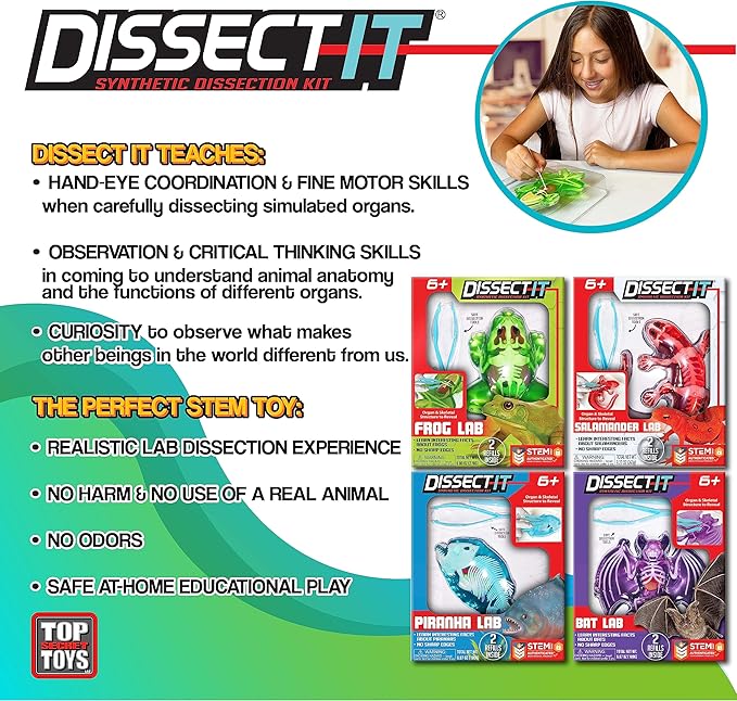 Dissect-It Kit for Kids, Synthetic Dissection Kids Science Kit to Learn Animal Science, Biology, STEM Toys for 6 Year Old and Above