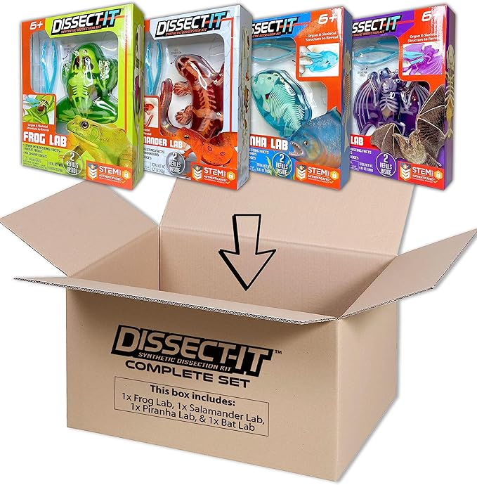 Dissect-It Kit for Kids, Synthetic Dissection Kids Science Kit to Learn Animal Science, Biology, STEM Toys for 6 Year Old and Above