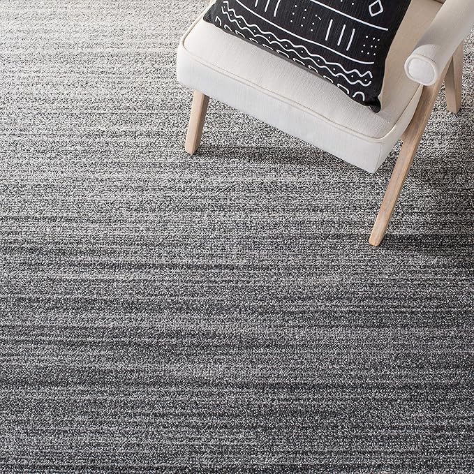 SAFAVIEH Adirondack Collection Accent Rug - 4' x 6', Grey & Ivory, Modern Ombre Design, Non-Shedding & Easy Care, Ideal for High Traffic Areas in Entryway, Living Room, Bedroom (ADR142F)