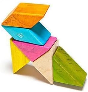 6 Piece Tegu Pocket Pouch Prism Magnetic Wooden Block Set, Tints