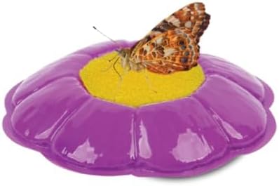 Insect Lore Butterfly Garden Home School Kit | Live Cup of Caterpillars | Ultra-Clear Observation Dome | Fold-Out Life Cycle Panel | STEM Butterfly Journal | Raise Painted Lady Butterflies