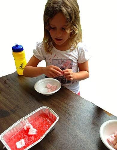 Young Scientist Series - Set 12: Surface Tension (Kit 34) - Polymers (Kit 35) - Famous Scientists and Their Experiments (Kit 36)
