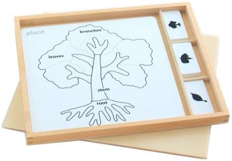 Montessori Botany Puzzle Activity Set