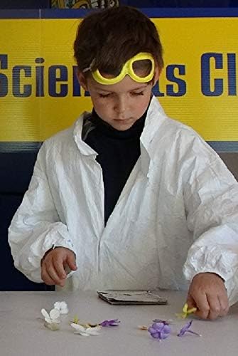 The Magic School Bus Rides Again: Exploring the Wonders of Nature By Horizon Group USA, Homeschool STEM Kits, Includes Educational Manual, Butterfly Net, Scavenger Hunt, Plaster, Game Cards & More