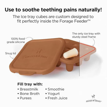 Baby’s First Bites Starter Kit – Ice Cube Tray, Forage Feeder, Freezer Mold & Pacifier Feeder – Milestone Magnet for Food Tracking & Feeding Tips – Baby Food Prep Essentials - Foliage