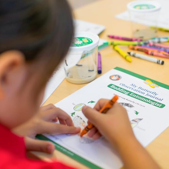 Insect Lore Giant Butterfly Garden with Voucher | 18 Inch Habitat | Life Cycle Figurines Included | Voucher to Redeem 5 Baby Caterpillars Later | Raise Painted Lady Butterflies