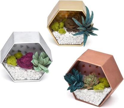 Craft Crush — Mini Plants Terrariums Easy Fun Arts and Craft Kit — Make 3 Charming Faux Terrariums! — For Ages 13 and Up