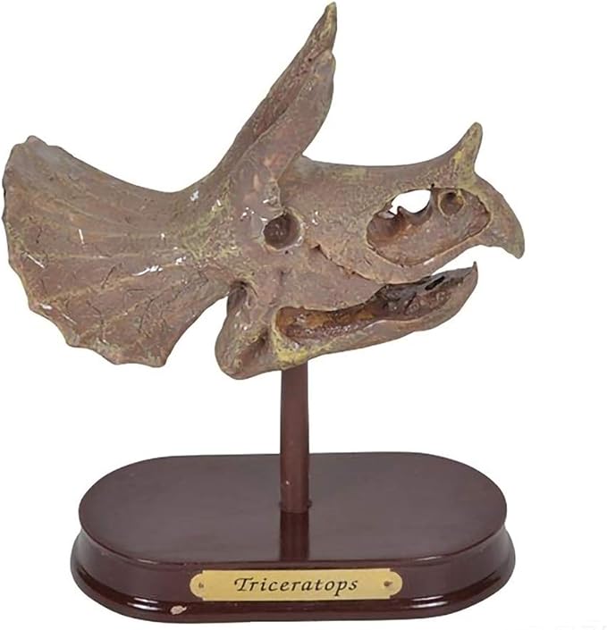 ArtCreativity Dinosaur Excavation Kit for Kids, 5.5” Triceratops Skull Excavating Set with Fossil Digging Tools and Stand, Fun Science Activity Toy, Educational Dinosaur Gift for Boys and Girls