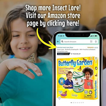 Insect Lore Butterfly Garden Home School Kit | Live Cup of Caterpillars | Ultra-Clear Observation Dome | Fold-Out Life Cycle Panel | STEM Butterfly Journal | Raise Painted Lady Butterflies