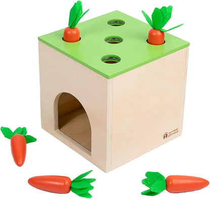 Adena Montessori 6 in 1 Play Kit Toy- 3 Nesting & Stacking Boxes, Object Permanence Drop Game, Coin Box, Carrot Harvest,Tissue Box,Sticks Matching Game for 6-12 Months 1 Year Old Toddlers 2 Year