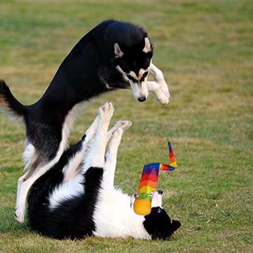 Chalyna Throw and Catch Ball, Rainbow Tail Foam Ball Sports Comet Balls Soft Colorful Play Playground Toys Bulk for Indoor Outdoor Kids Adults School Training Gift, 23.62 Inch Long