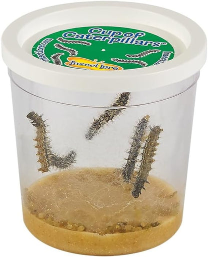 Insect Lore Butterfly Garden Kit, Painted Lady Butterfly Kit with Voucher for Live Caterpillars, Butterfly Habitat, STEM Journal & More