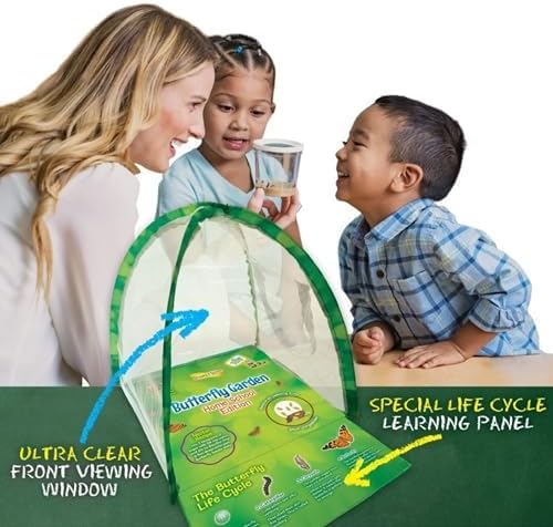 Insect Lore Butterfly Garden Home School Kit | Live Cup of Caterpillars | Ultra-Clear Observation Dome | Fold-Out Life Cycle Panel | STEM Butterfly Journal | Raise Painted Lady Butterflies