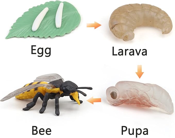 Montessori Animal Match Game Cards Marine Animal Matching Montessori Language Materials Toddlers Preschool Educational Learning Toys Language Materials Shape Sorting Toy