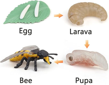 Montessori Animal Match Game Cards Marine Animal Matching Montessori Language Materials Toddlers Preschool Educational Learning Toys Language Materials Shape Sorting Toy