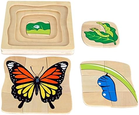 Montessori Butterfly Life-Cycle Puzzle