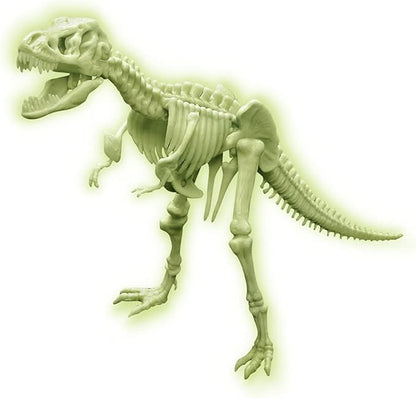 4M Sci:Bits Glow T-Rex Skeleton Kit