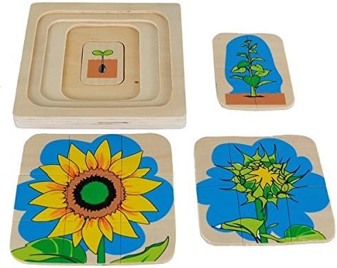 Montessori Sunflower Life-Cycle Puzzle