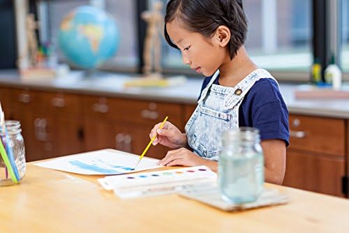 Crayola Watercolors Classpack, Bulk Paint Set For Kids, 24 Trays & 12 Refills, School Supplies