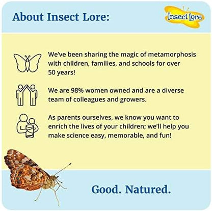 Insect Lore Butterfly Garden Home School Kit | Live Cup of Caterpillars | Ultra-Clear Observation Dome | Fold-Out Life Cycle Panel | STEM Butterfly Journal | Raise Painted Lady Butterflies