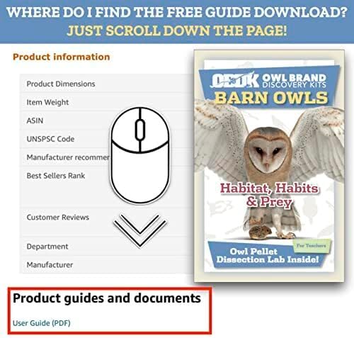 OBDK Barn Owl Pellets for Dissection - 1 Pack Jumbo Sized (2.0"-Larger) with Tools, Guide and Charts from Owl Brand Discovery Kits