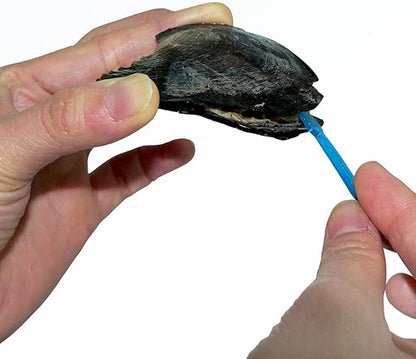 My Inspirations Precious Pearl Pearl in Oyster Kit, Mysterious Pearl Gift Set, DIY Necklace Making Kit, Elegant Pendant with 20" Chain, Rhodium Plated, Great Gift for Any Occasion, Owl