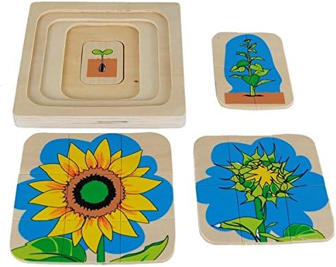 Montessori Sunflower Life-Cycle Puzzle