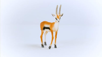 Schleich Wild Life New 2023, Wild Animal Safari Toys for Boys and Girls, Thomson Gazelle Toy Figurine, Ages 3+