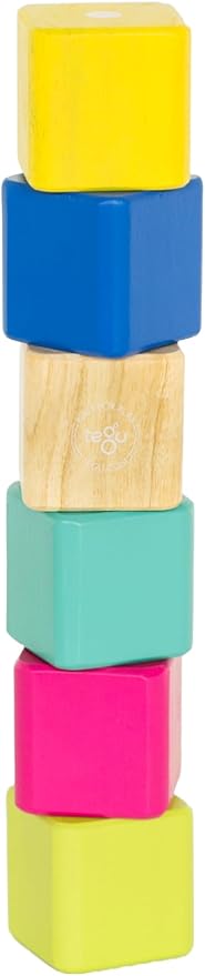 Tegu 6 Piece Magnetic Baby’s First Building Blocks, Tints