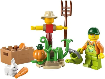 LEGO City Farm Combo Pack: Farm Garden and Scarecrow Polybag (30590) and Brown Chicken
