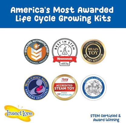 Insect Lore Butterfly Garden As Seen On TV | Butterfly Kit with Live Caterpillars | 10 Live Baby Caterpillars, Reusable Habitat, STEM Butterfly Journal & More