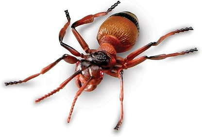 Learning Resources Jumbo Insects - 7 Pieces, Ages 3+ Toddler Learning Toys, Animal Toys for Kids, Preschool Science Learning Toys