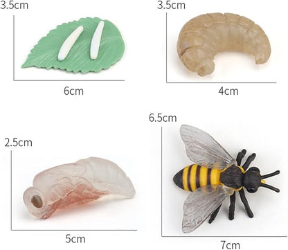 Montessori Animal Match Game Cards Marine Animal Matching Montessori Language Materials Toddlers Preschool Educational Learning Toys Language Materials Shape Sorting Toy