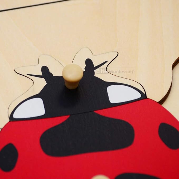 Montessori Lady Bug Puzzle