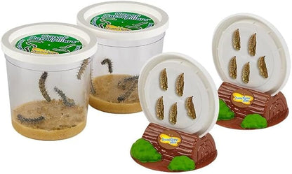 Insect Lore Butterfly Garden | Original 12" Habitat and Two Cups of Live Baby Caterpillars | Life Science & STEM Education Kit