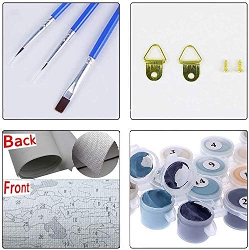 Hiolife Paint by Number Kits for Adults,Kids, Beginners, with Brushes and Acrylic Pigment, 20x16 Inch Tortoise - Frameless