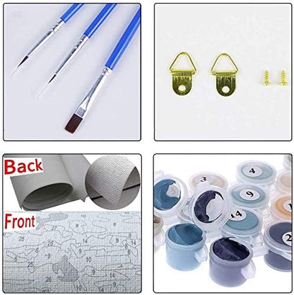 Hiolife Paint by Number Kits for Adults,Kids, Beginners, with Brushes and Acrylic Pigment, 20x16 Inch Tortoise - Frameless