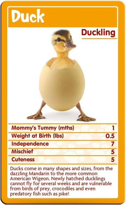 Baby Animals Top Trumps Card Game