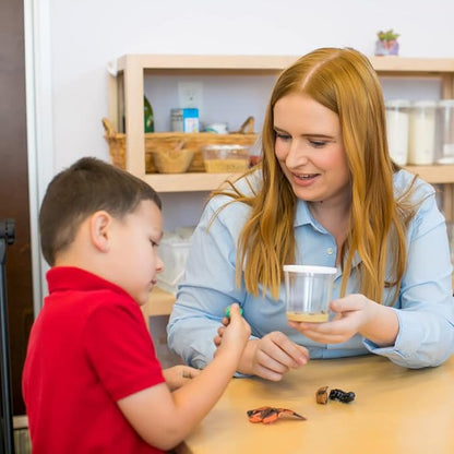 Insect Lore Butterfly Garden - 8" Habitat | 1 Cup of Live Baby Caterpillars | Life Cycle Figurines, Stickers, Wind up, Mini Habitat | Birthday or Teacher Gift Set