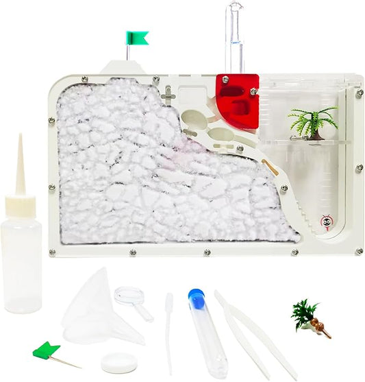 Sand Ant Farm Castle for Kids,Large Ant Habitat to Study Insect Behavior,Ant Colony Ecosystem Science Educational Gift for Classroom