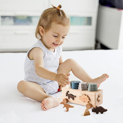 Montessori Toys for 1 2 3 Years Boys Girls Birthday Gift, Wooden Stacking Toys Preschool Learning Fine Motor Skills Game for Toddlers - Wood Car & Dinosaurs, Silicone Shape Sorter & Color Stacker