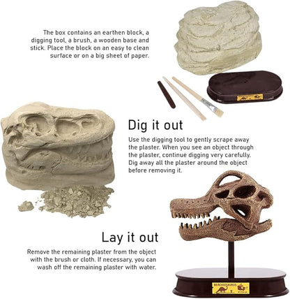 ArtCreativity Dinosaur Excavation Kit for Kids, Brachiosaurus Skull Excavating Set with Fossil Digging Tools and Stand, Fun Science Activity Toy, Educational Dinosaur Gift for Boys and Girls