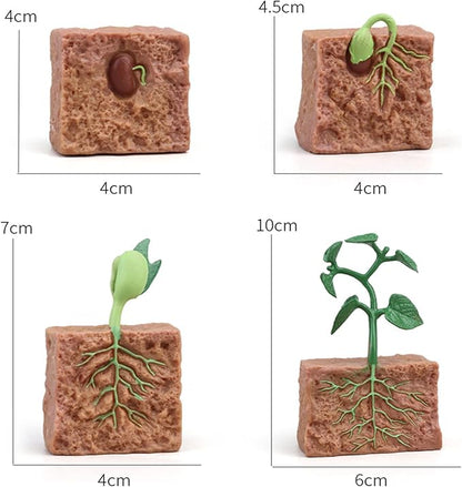 Montessori Animal Match Game Cards Marine Animal Matching Montessori Language Materials Toddlers Preschool Educational Learning Toys Language Materials Shape Sorting Toy