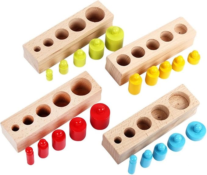 New Sky Enterprises Montessori Colored Knobless Cylinders with Fitted Container Socket Kids Wooden Blocks Shape & Color Recognition Material Toys (knobless cylinders)