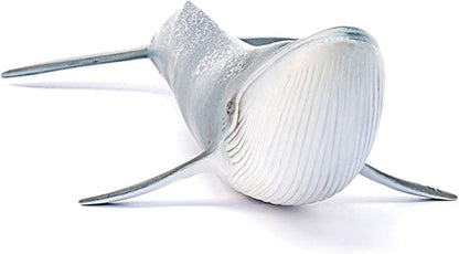 Schleich Wild Life Realistic Blue Whale Figurine - Authentic and Highly Detailed Aquatic Animal Toy, Durable for Education and Fun Play, Perfect for Boys and Girls, Ages 3+