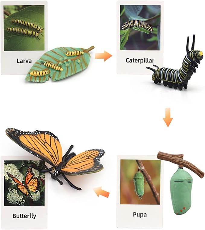 Montessori Animal Match Game Cards Marine Animal Matching Montessori Language Materials Toddlers Preschool Educational Learning Toys Language Materials Shape Sorting Toy