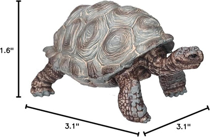 Schleich Wild Life Realistic Exotic Galapagos Giant Tortoise Figurine - Wild Animal Figurine Giant Tortoise Toy for Wildlife Play and Imagination for Toddlers Boys and Girls, Gift for Kids Age 3+